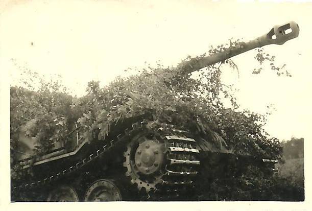 A Ferdinand very well camouflaged with foliage on the move.......................