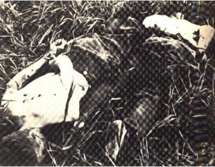 German POWs slaughtered at Broniki.