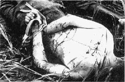 A slaughtered German POW with his hands tied on his back.