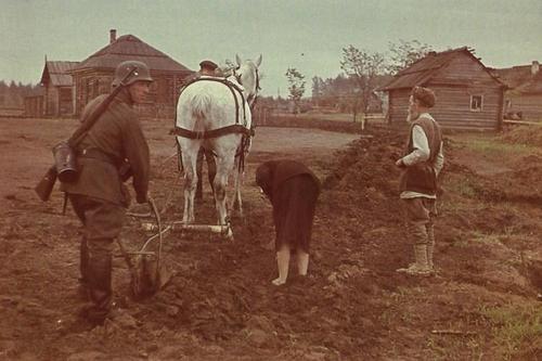though it's not a combat photo but still i find it rather interesting and rare(especially with ger.soldier ploughing)