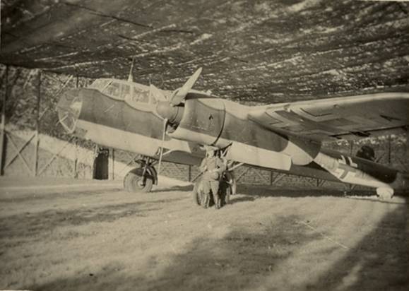 A Do-17 under its camouflaged net.
