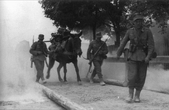 Gebirgsjägers with their mules, marching through south Poland............