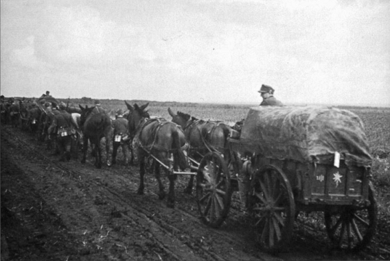 An infantry column (gebirgsjägers) marching deep inside of Russia. In the foreground a horse-drawn cart...............