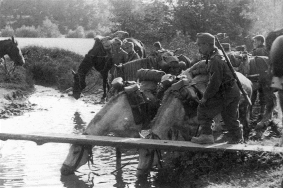 Riders from a Geb. Aufkl. Abt watering their horses - Poland 1939.