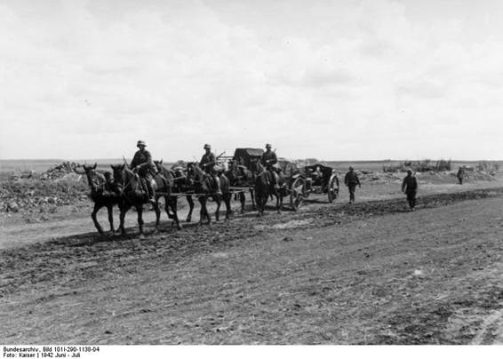 A horse-drawn column of an infantry division toward the Don.