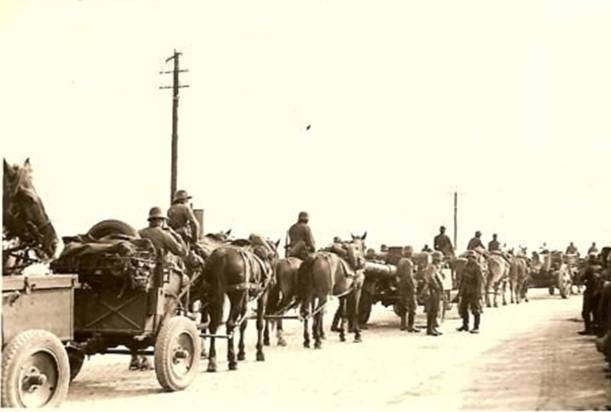 A battery of sFH 18 of 150 mm (horse-drawn) in a halt somewhere in Poland 1939; in the foreground it seems the trailers of the AA escort (MG-Wagen 36?)........