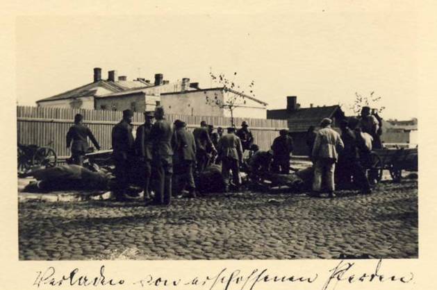 Foto Original 31. Inf. Div. Warschau Pferdekadaver (horses's corpses in Warsaw).....................
