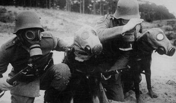 German soldiers with dogs wearing gas-masks......................<br />http://newsfisher.io/article/JWQxH8RFpWm6WLRd9