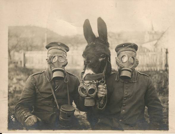 Two german soldiers with a mule wearing gas-masks-WWI 1916......................<br />http://rarehistoricalphotos.com