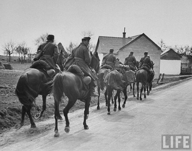 Mounted troops on the move.................