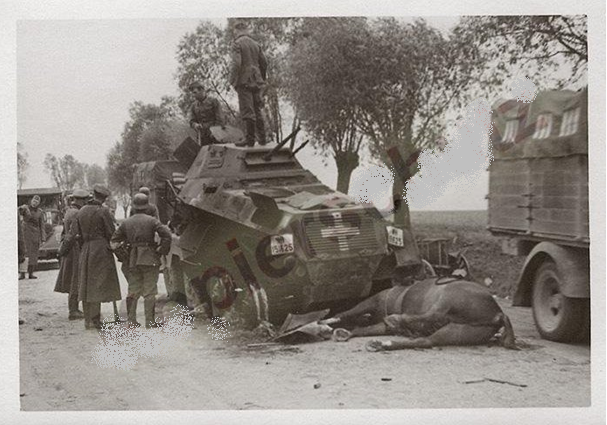 Rear view of the Sd Kfz 231 (WH-151 625) with its turret turned 180 degrees and the rear wheels burned down; on the ground a dead equine ...........